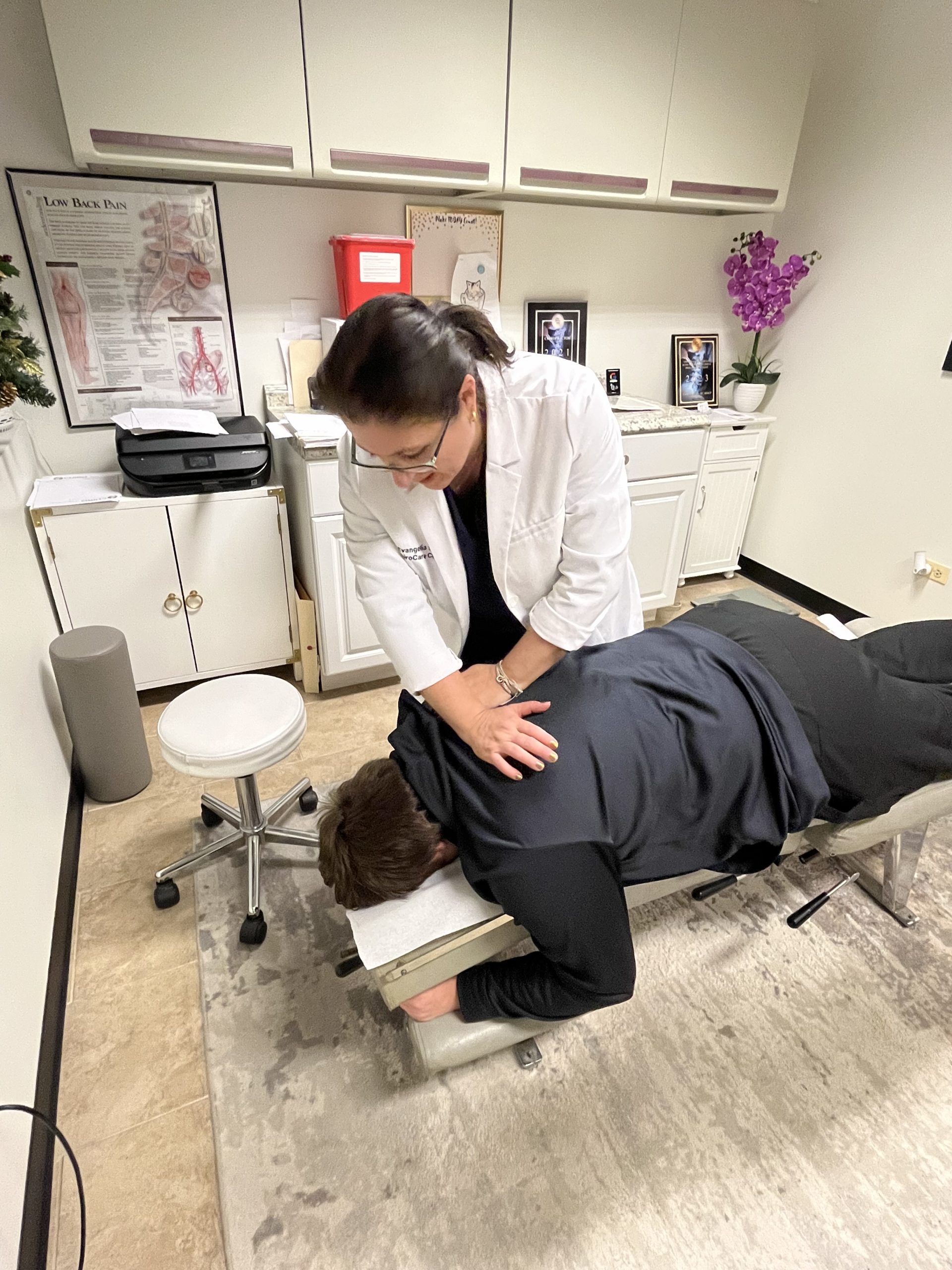 Dr. Angie Skokos, DC — Westmont chiropractor